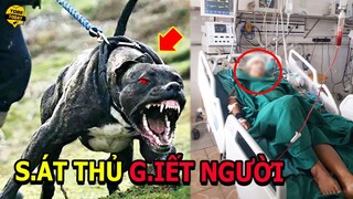 🔴7 Động Vật Nguy Hiểm Và Đáng Sợ Đang Sống Trong Nhà Bạn Nhưng Ít Ai Cảnh Giác Chúng