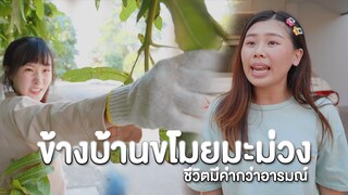 ข้างบ้านขโมยมะม่วงเราค่ะ หนังสั้น