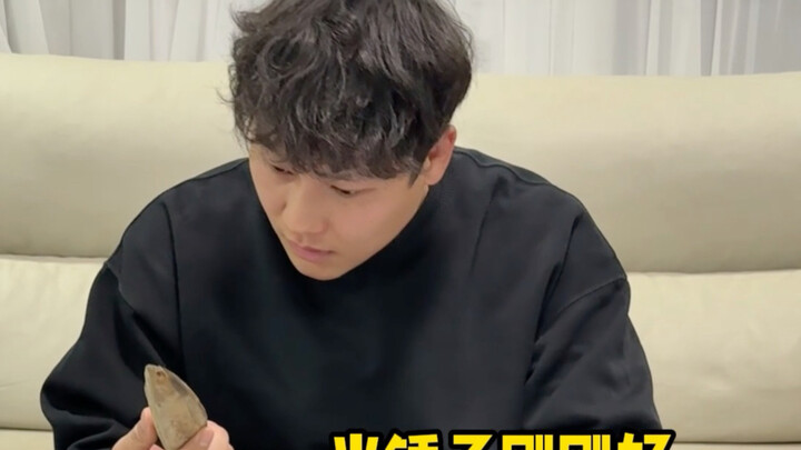 How can a fish be as hard as wood?