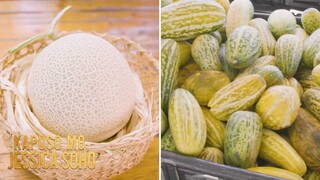 Melon na nagkakahalaga ng 5 million yen, matatagpuan sa Pilipinas?! | Kapuso Mo, Jessica Soho