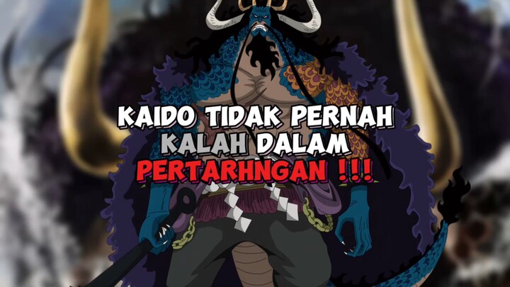 Kaido Tidak Pernah Kalah Dalam Pertarungan !!!