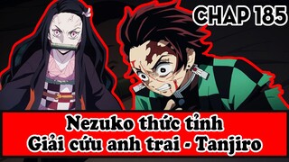 [Bình Luận Manga] Demon Slayer: Kimetsu No Yaiba chapter 185 | NEZUKO THỨC GIẤC