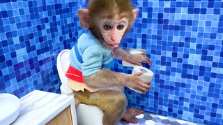 Monkey Baby Bon Bon ไปเข้าห้องน้ำและช็อปปิ้งในร้าน Fidget Toys