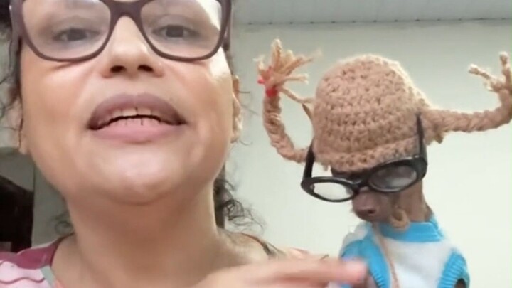 I’ve never seen a dog with such a distinctive look—even without any styling, it’s instantly unforget