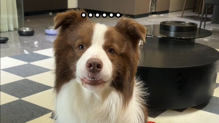 Yuzai: A Single Act of Initiative Turned Me Into a Lifelong Introvert