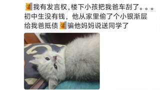 那些离谱的抵债方式……