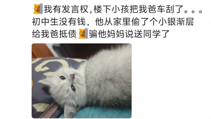 那些离谱的抵债方式……