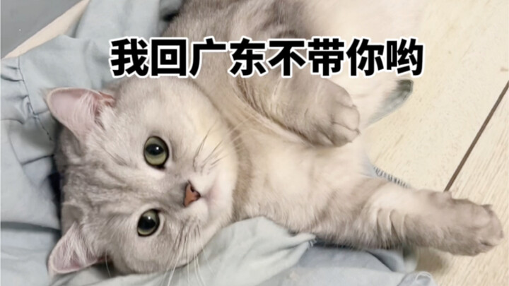 Mẹ về Quảng Đông mà không mang theo con à?