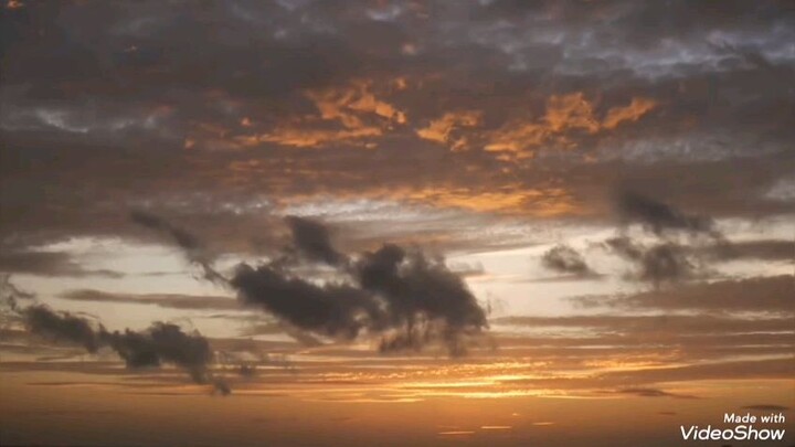 Royal Jelly - Song by Butterfingers 1996