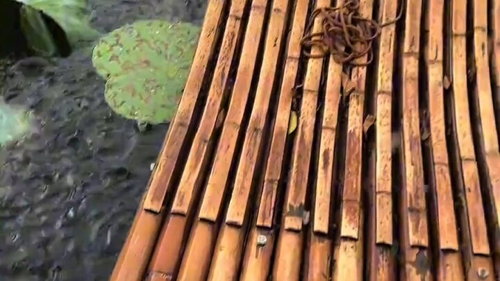 Poetry brought to life—ancient poets really weren’t lying! #ClassicalPoetry #Poetry #AncientPoems...