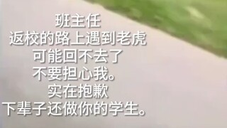 上学被老虎追了 回不去了