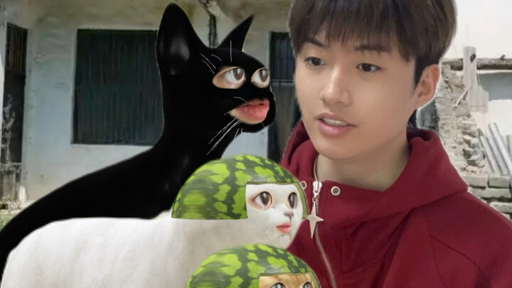 A cat catches a mouse, only to encounter a “parasitic” mouse!