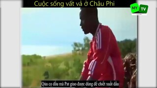 Cuộc sống mưu sinh vất vả ở Châu Phi_phần 8