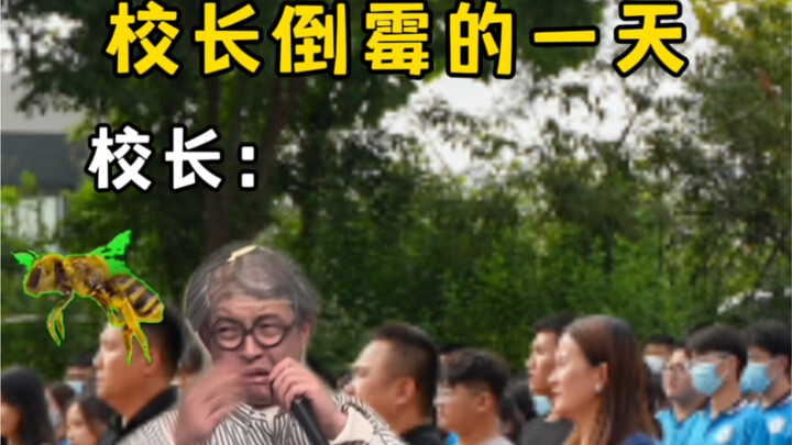 Editing this made me laugh so hard, hahaha