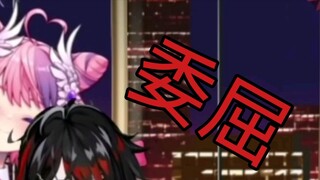 [vox] A super cute big cat is crying and aggrieved online. Come and catch the cat!