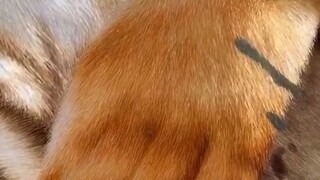 أود أن أعرف ما الذي فكر به معظم الناس في النظرة الأولى