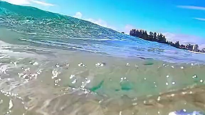 这看起来也太舒服了！快来凉快下！