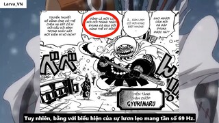 Nguồn Gốc Xuất Thân Của Zoro_ - Mối Liên Hệ Với Monkey D. Dragon I 2