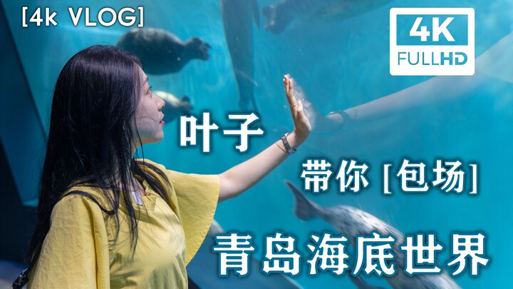 【4K VLOG】“استئجار المكان بالكامل” في عالم قاع البحر بتشينغداو؟ بدقة فائقة 4K، يانزي تصحبك في جولة سي