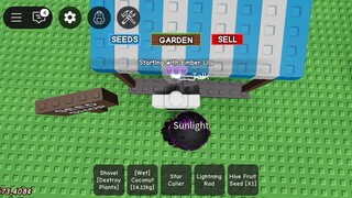 i got ember lily seed in grow a garden