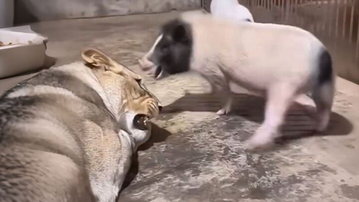 “Strong People Never Complain About Their Circumstances”