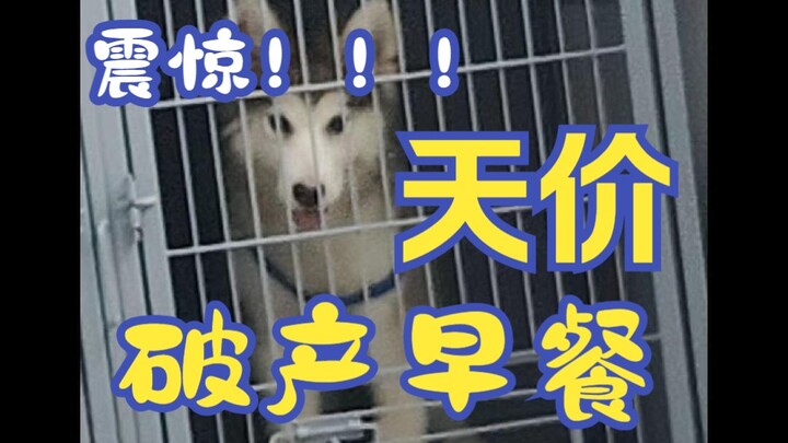 The title’s a bit of a joke—my puppy’s in the hospital right now. The vet said we’ll have to monitor