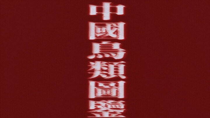 实验性剪辑：《中国鸟类图鉴》