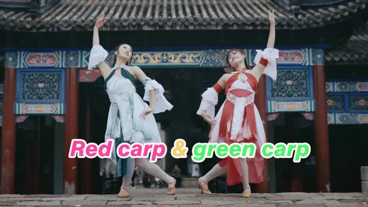 [Dance]Two girls' dance in ancient costumes|<Jin Li Chao>