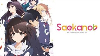 Saenai Heroine no Sodatekata Opening and Ending Full