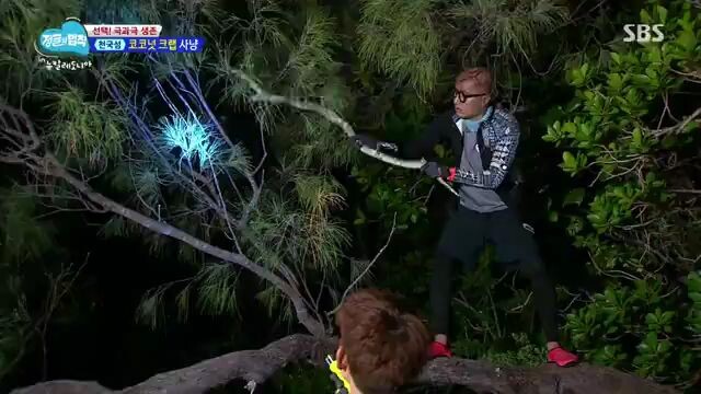 law of the jungle new caledonia ep 5 sub indo