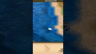 AoE 2 Fising #ageofempires #ageofempire2 #ageofempires2 #aoe2