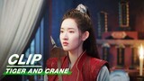 Zhao Xintong was Discovered after Sneaking into Yang Mingtang | Tiger and Crane EP15 | 虎鹤妖师录 | iQIYI