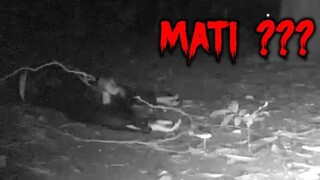 🔴 673- MATI ???