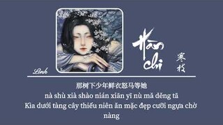[Vietsub] Hàn Chi • Đẳng Thập Yêu Quân ♪ 寒枝 • 等什么君