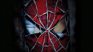 “ 蜘 蛛 们 的 视 觉 盛 宴”——Spiderman