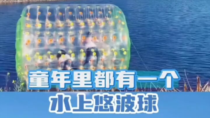 Did anyone play this as a kid?