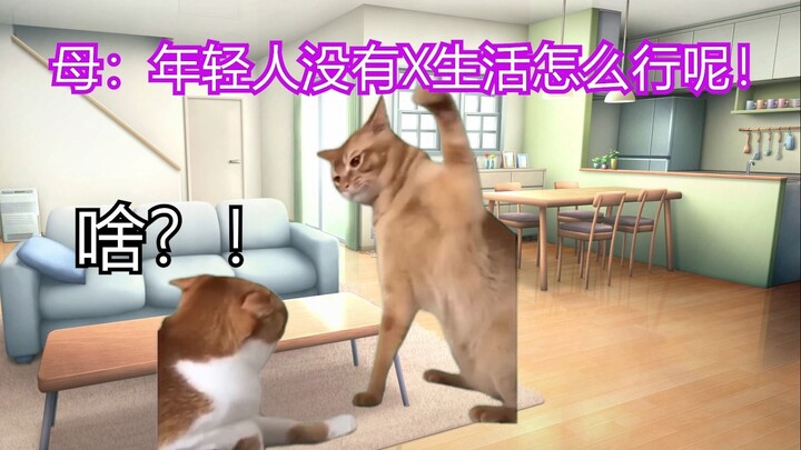 【Cat meme】The love story of the unlucky guy who was cursed by a love triangle since childhood 1