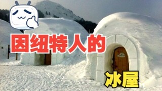 因纽特人是不是黄种人？他们住的冰屋为啥不冷？