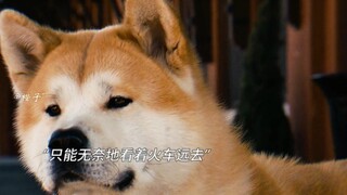 忠诚的意义在于永远不要忘记心中最爱的人