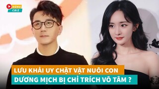 Hậu ly hôn Lưu Khải Uy chật vật kiếm tiền nuôi con - Dương Mịch bị chỉ trích vô tâm|Hóng Cbiz