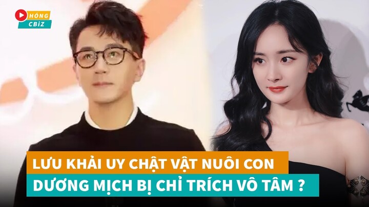 Hậu ly hôn Lưu Khải Uy chật vật kiếm tiền nuôi con - Dương Mịch bị chỉ trích vô tâm|Hóng Cbiz