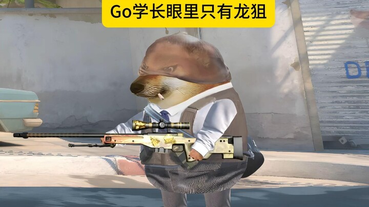 Go学长的眼里只有龙狙