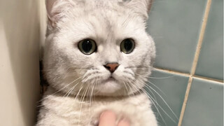 คุณจะยอมทุบนาฬิกาเรือนละห้าพันหยวนเพียงเพื่อเงินไม่กี่หยวนเหรอ?