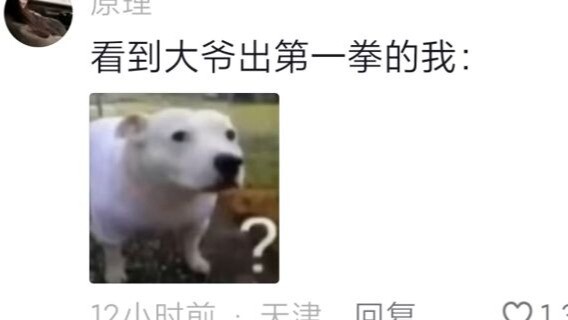 Me when I saw the old man throw his first punch: