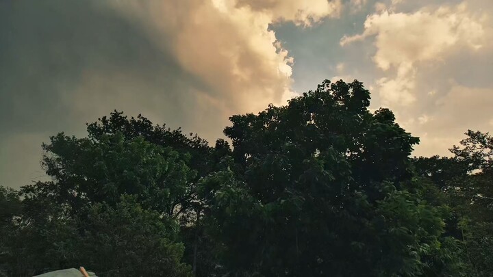 Natural video.🙂🌳🌥️