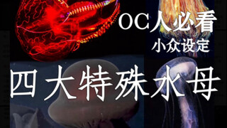 OC人必看小众设定｜四大特殊水母｜冥河水母、血腹水母、狮鬃水母、天草水母