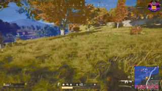 Tôi đang tàng hình à ?