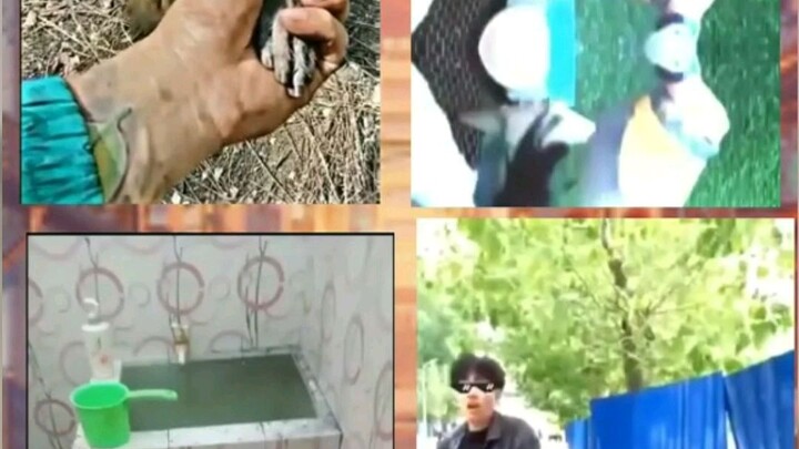 คริปรวมความฮาและงงไปตามๆกัน🤣