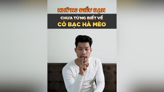 Những điều bạn chưa từng biết về cỏ bạc hà mèo petonesaigon tuitienpet dcgr