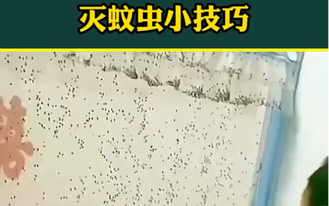 Here’s the ultimate bug-busting tip—hit like and save this now!